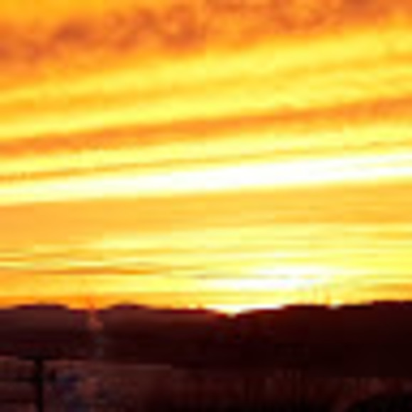 Meet your Posher, Ryan - Picture 1 of 1